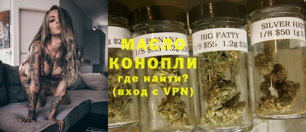амф Верхний Тагил