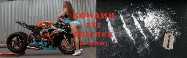 амф Верхний Тагил