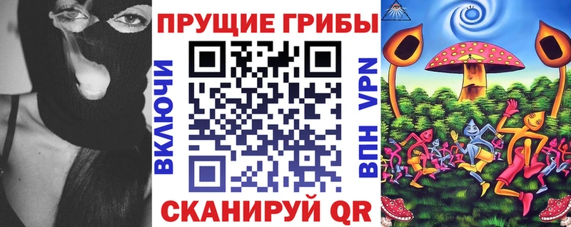 Псилоцибиновые грибы Psilocybe Верея