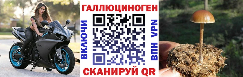 Галлюциногенные грибы ЛСД  Верея 