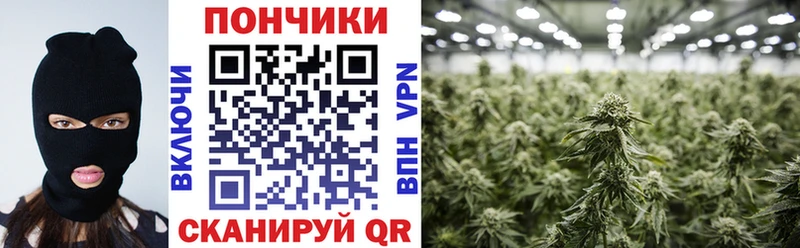 Каннабис планчик  KRAKEN сайт  Верея 